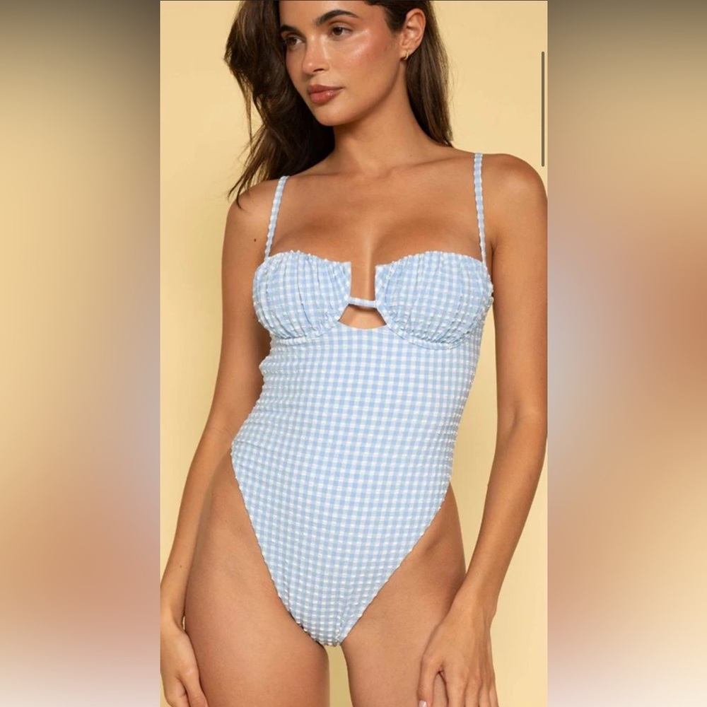 Montce Light Blue Gingham One-Piece Swimsuit